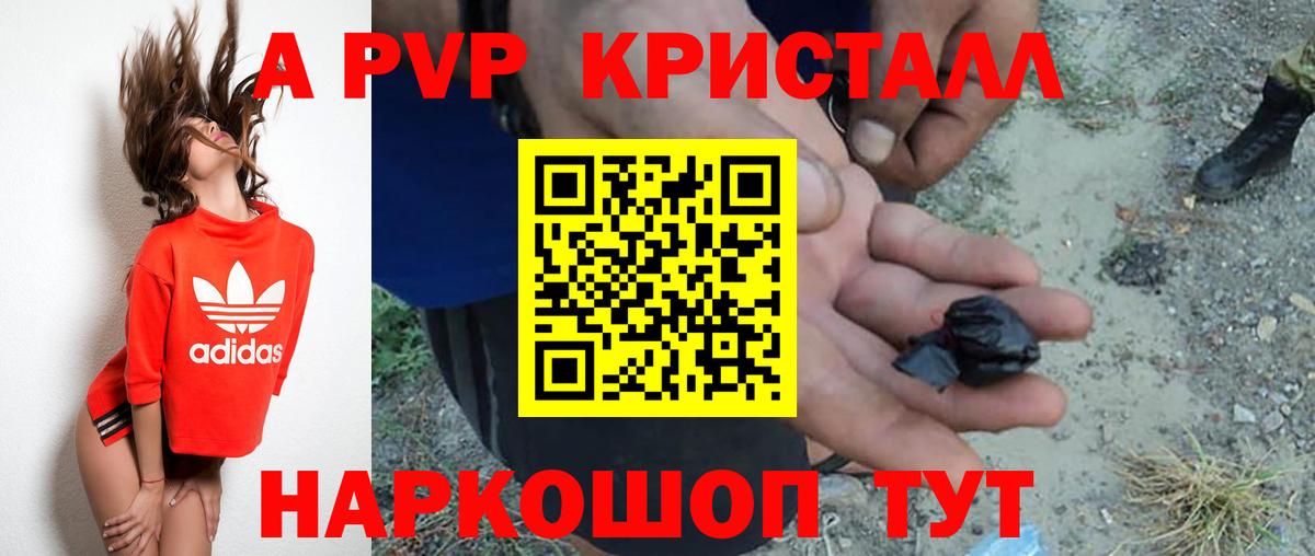 А ПВП СК Майкоп