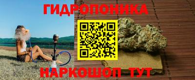 гидра Донской